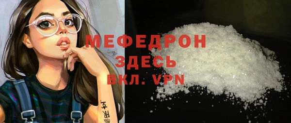 индика Новозыбков