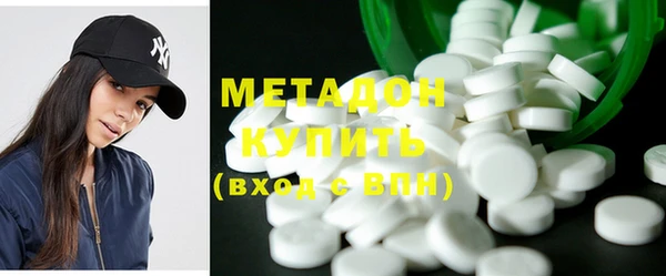 индика Новозыбков