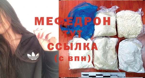 индика Новозыбков