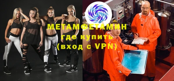 индика Новозыбков
