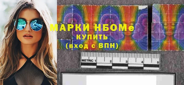индика Новозыбков