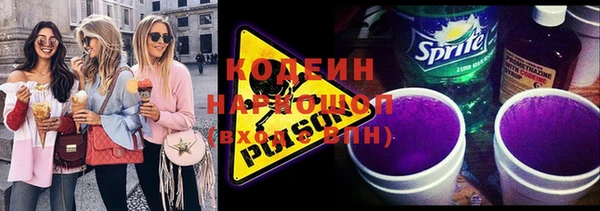индика Новозыбков