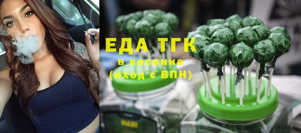 индика Новозыбков