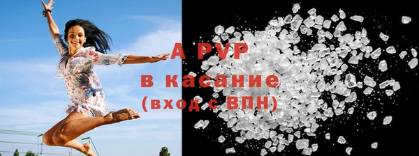 индика Новозыбков
