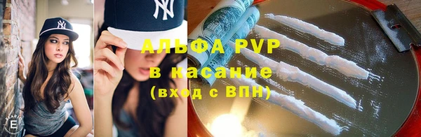 индика Новозыбков