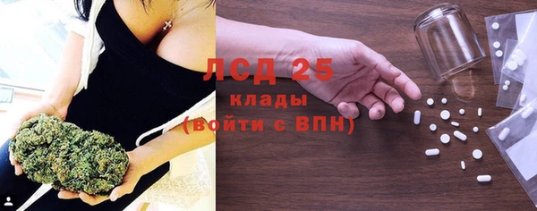индика Новозыбков