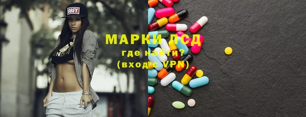 индика Новозыбков