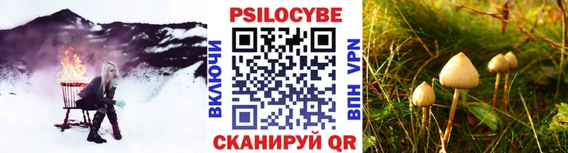 Галлюциногенные грибы мицелий  Ревда 