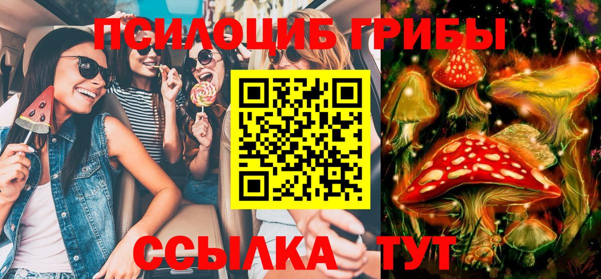 Псилоцибиновые грибы ЛСД Ревда