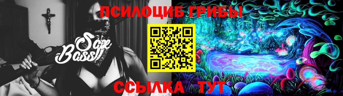 Галлюциногенные грибы Psilocybe  Вход с VPN  Ревда  Галлюциногенные грибы MAGIC MUSHROOMS 